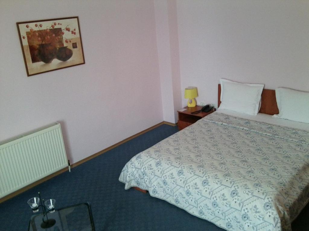 Hotel Adriatico Тимишоара Экстерьер фото